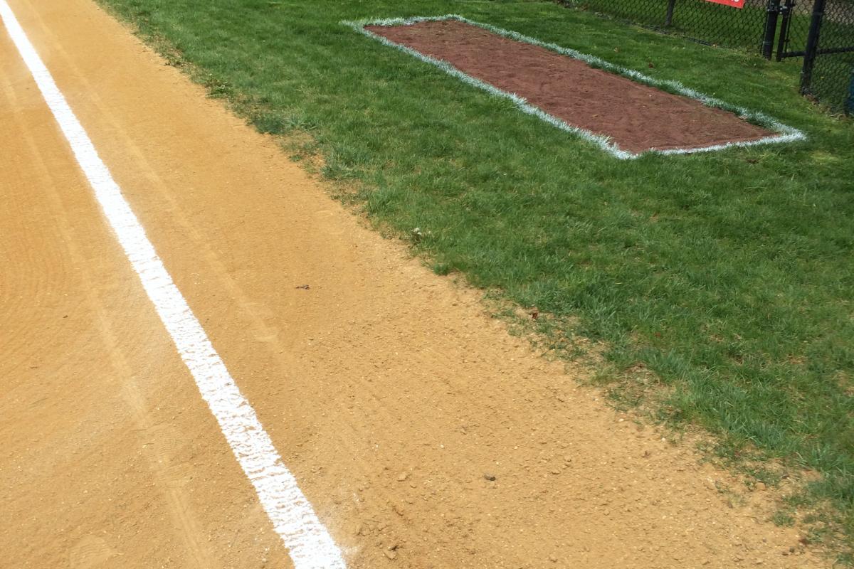 New Ash at O'Beirne Field in 2019