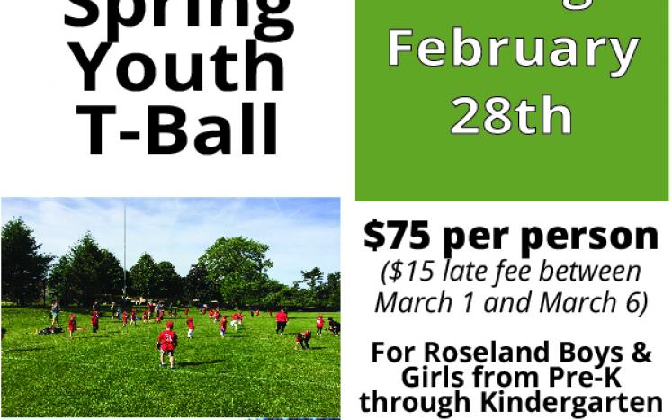 Spring Youth T-Ball Flier