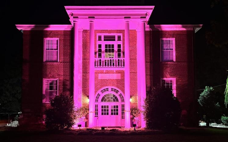 Borough Hall in Pink